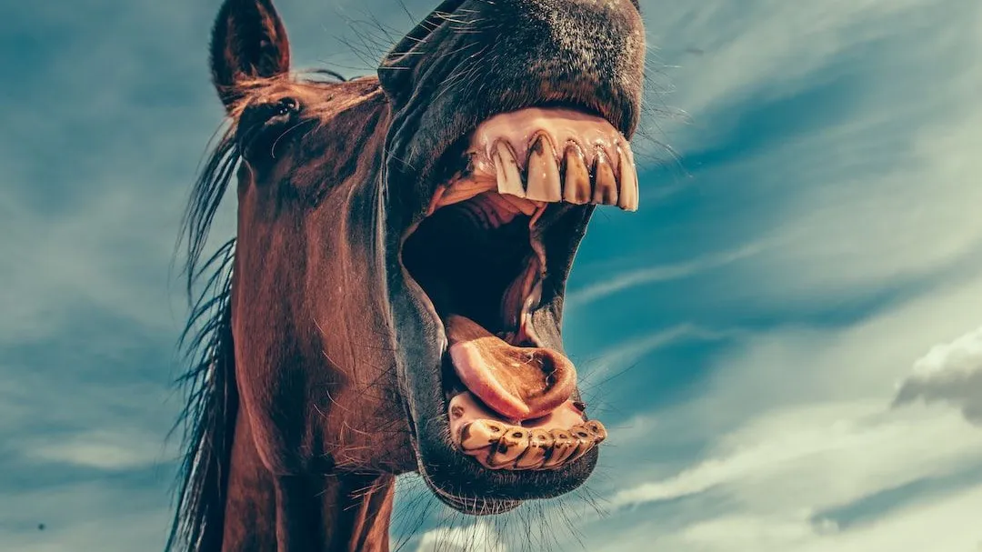 25 Perfect Photos Taken Right Before a Disaster